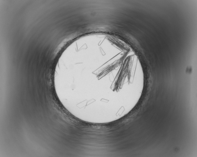 X0000111171218200908121039