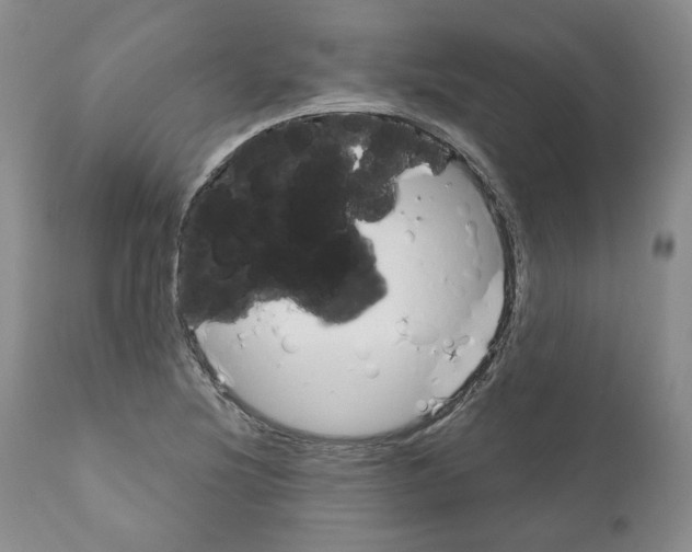 X0000111171220200908121039