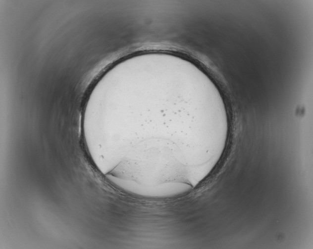 X0000111171221200908121039