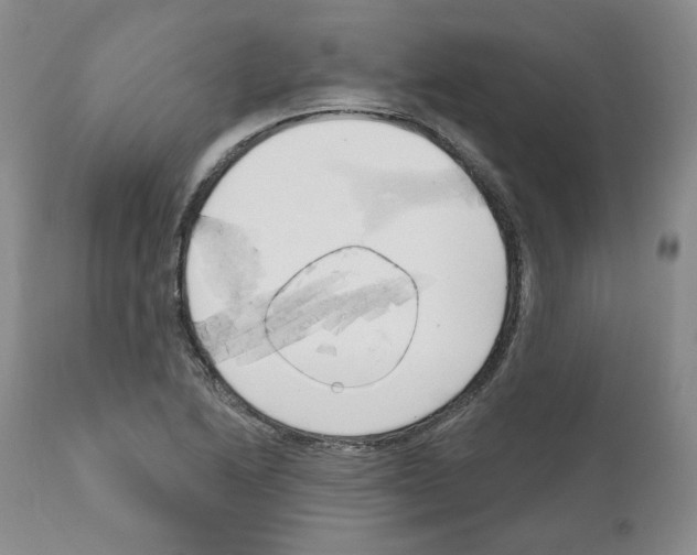 X0000111171222200908121039