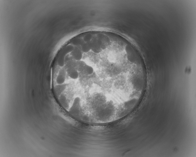 X0000111171223200908121039