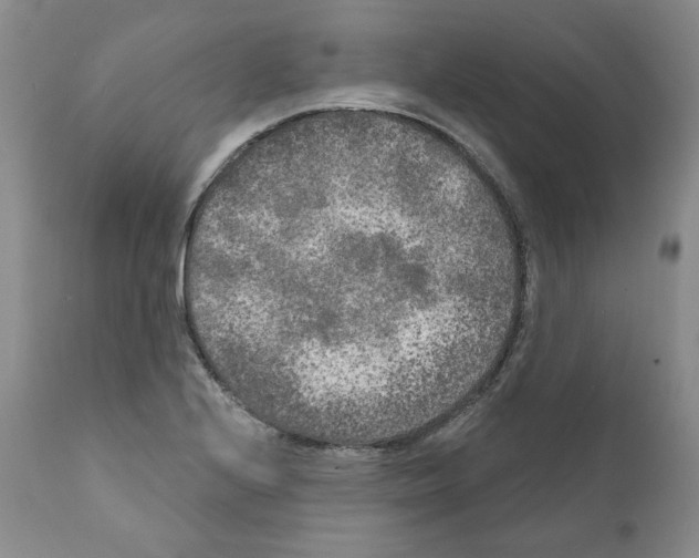 X0000111171224200908121039