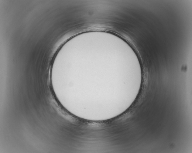 X0000111171227200908121039