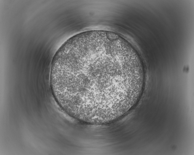 X0000111171228200908121039