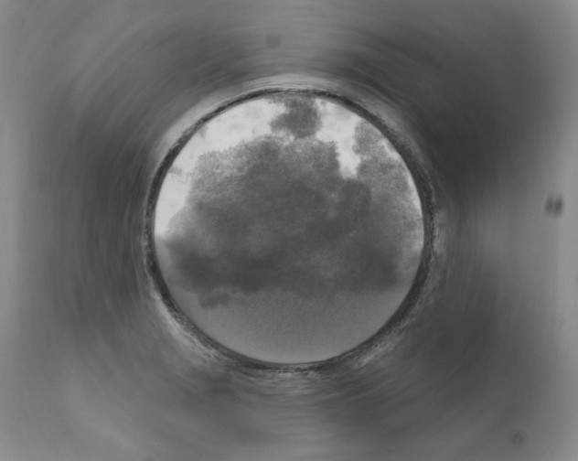 X0000111171229200908121039