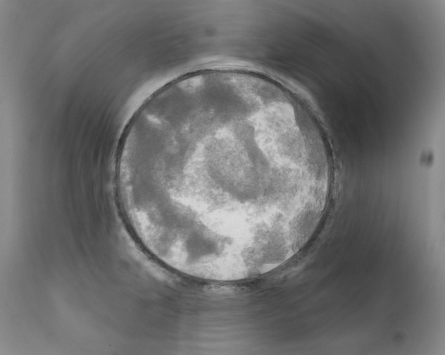 X0000111171231200908121039