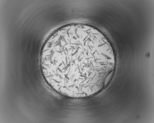 X0000111171232200908121039