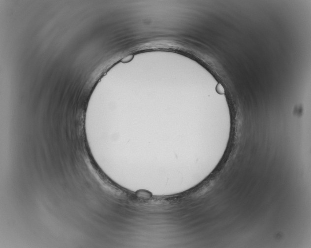 X0000111171233200908121039