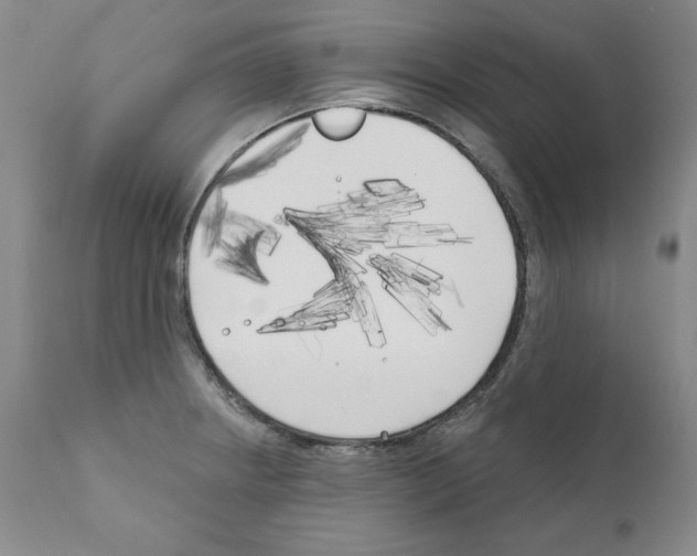 X0000111171234200908121039