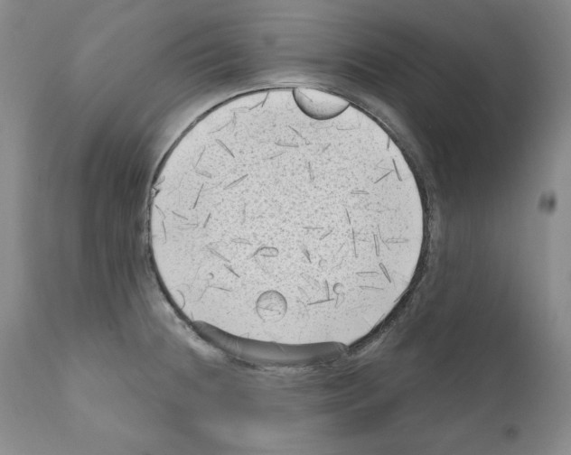 X0000111171236200908121039