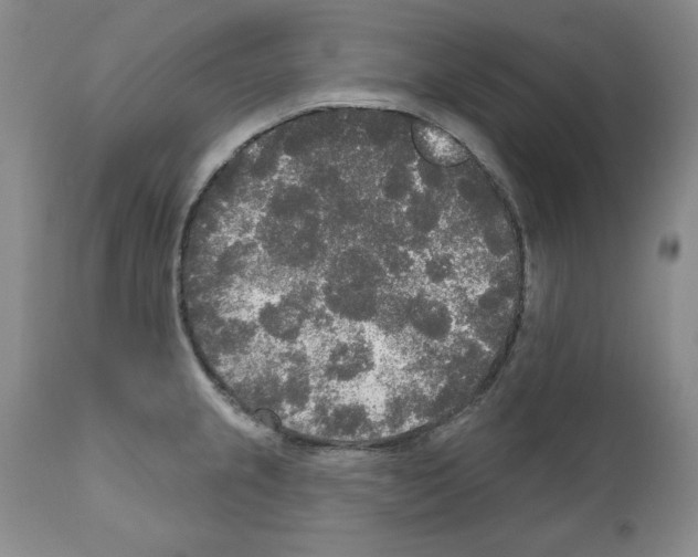 X0000111171237200908121039