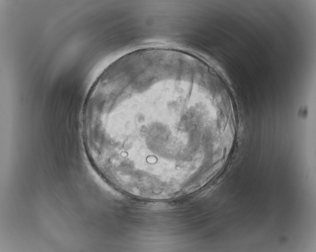 X0000111171239200908121039