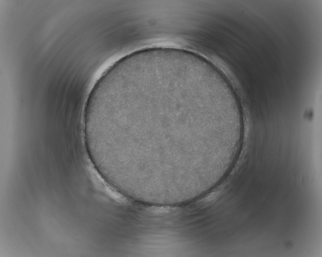 X0000111171240200908121039