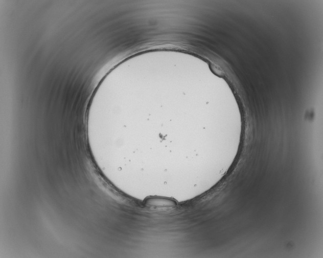 X0000111171242200908121039