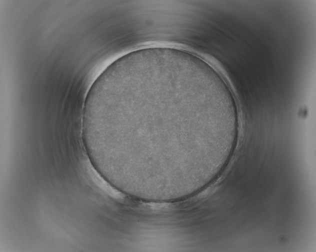 X0000111171244200908121039