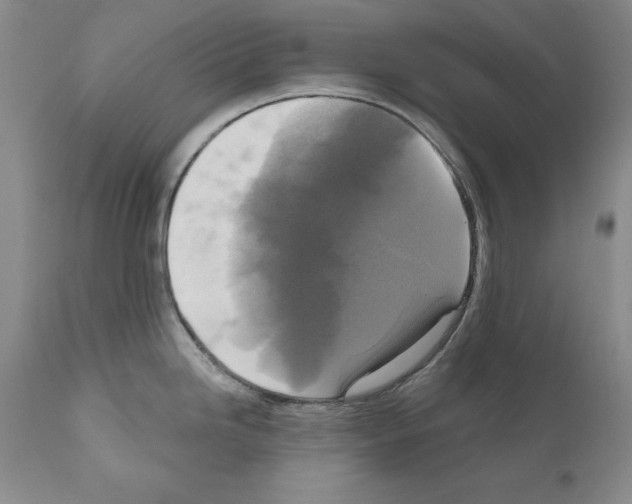 X0000111171246200908121039