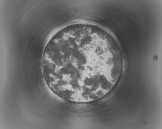 X0000111171247200908121039