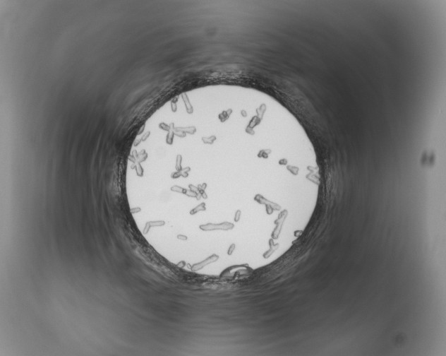 X0000111171250200908121039