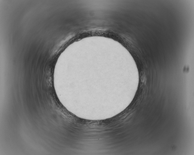 X0000111171252200908121039