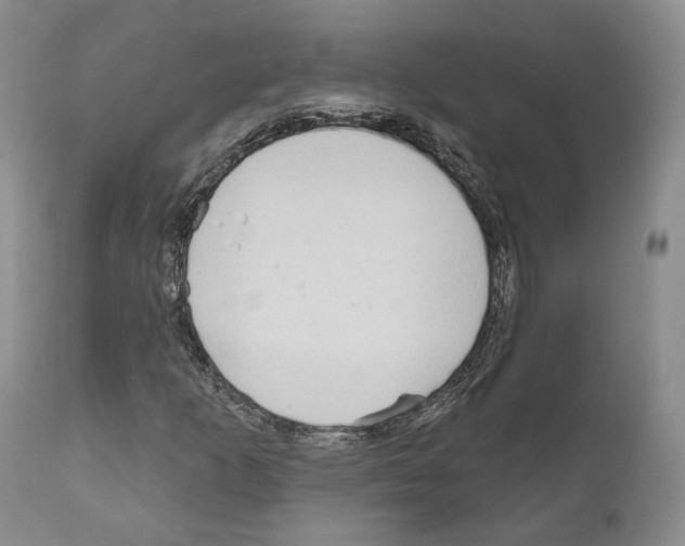 X0000111171253200908121039