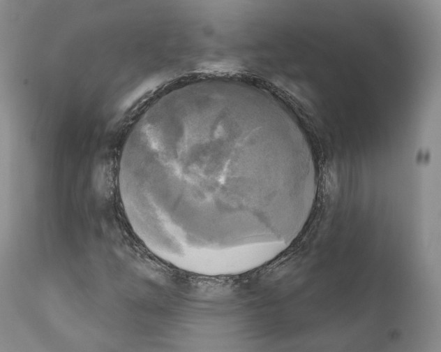 X0000111171254200908121039