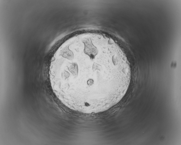 X0000111171255200908121038