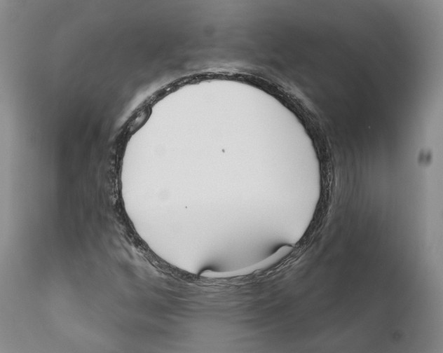 X0000111171256200908121038