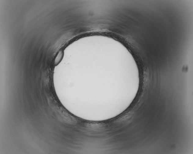 X0000111171257200908121038