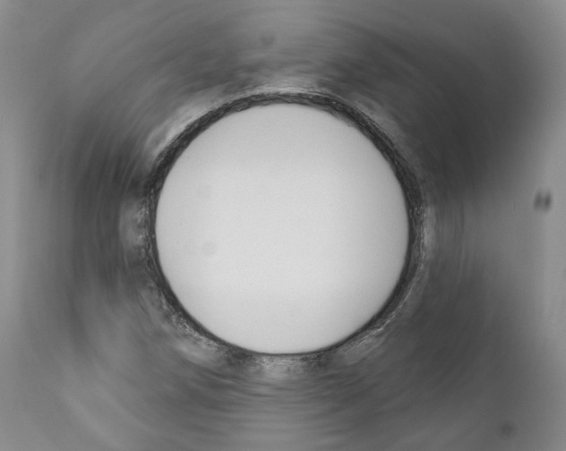 X0000111171258200908121038