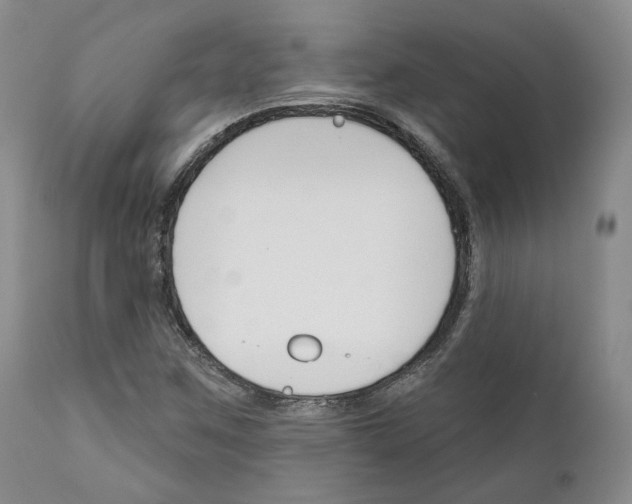 X0000111171259200908121038