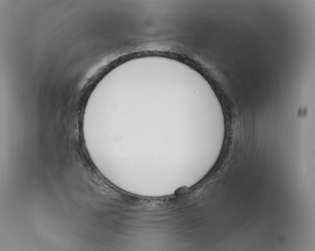 X0000111171262200908121038