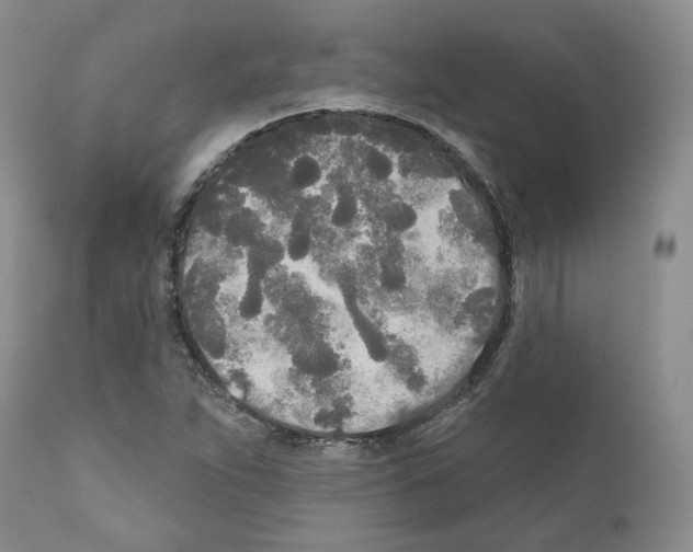 X0000111171263200908121038