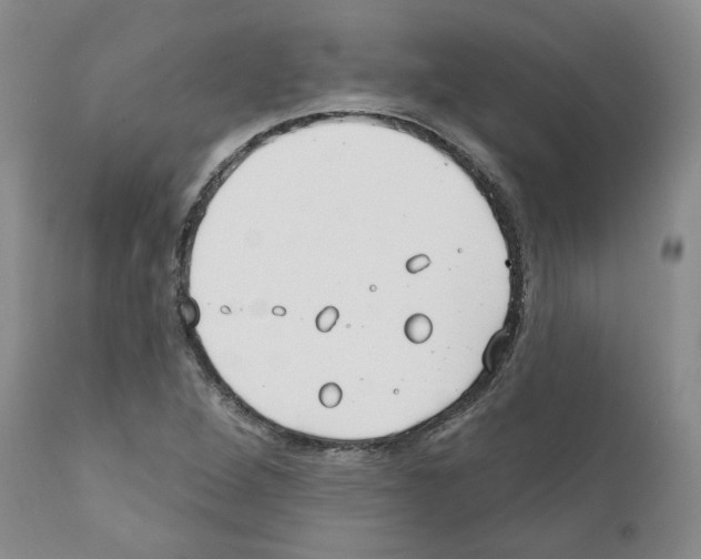 X0000111171264200908121038