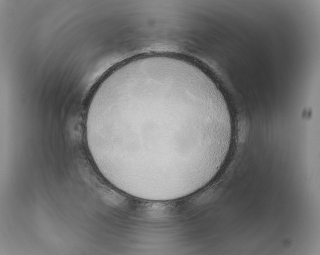 X0000111171266200908121038