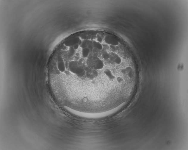 X0000111171267200908121038