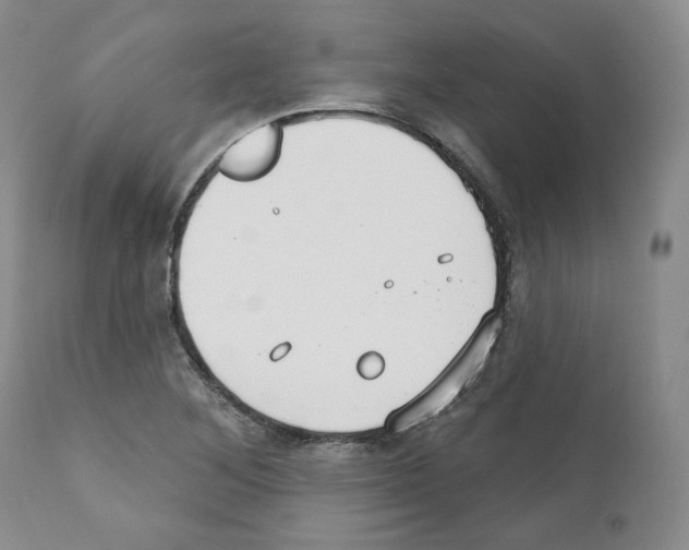 X0000111171268200908121038