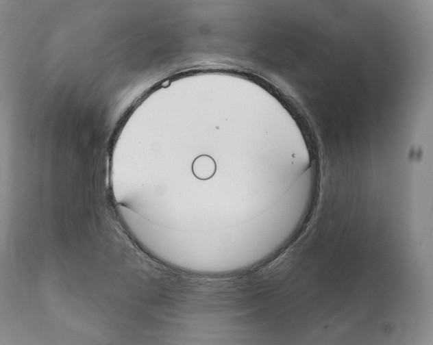 X0000111171269200908121038