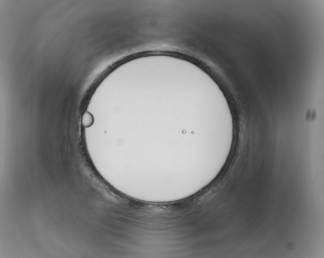 X0000111171270200908121038