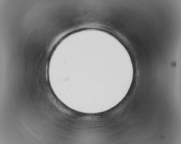 X0000111171272200908121038