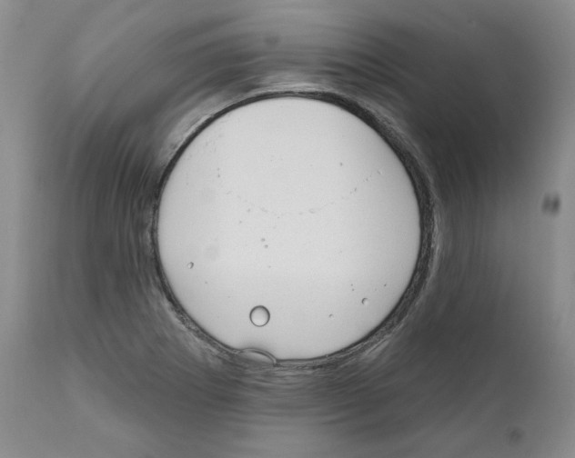 X0000111171273200908121038