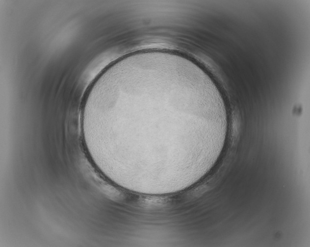 X0000111171274200908121038