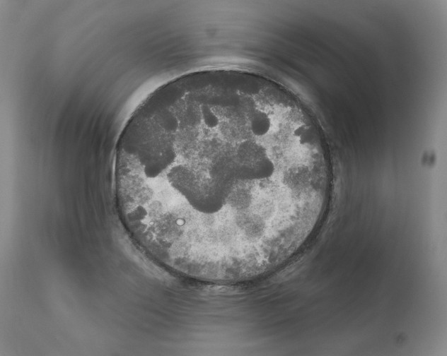 X0000111171275200908121038