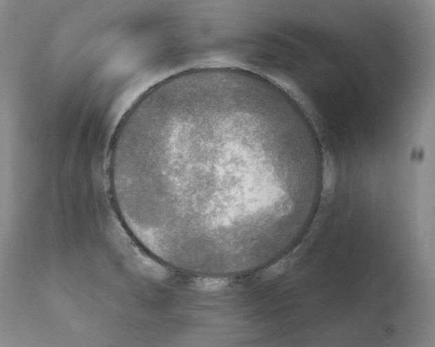 X0000111171278200908121038