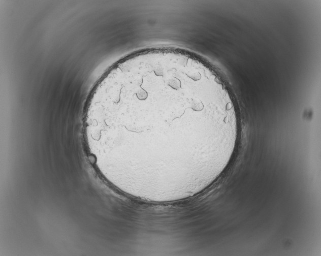 X0000111171279200908121038