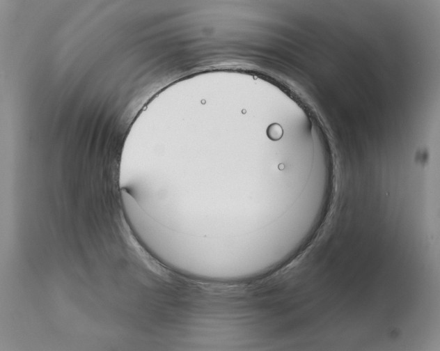 X0000111171281200908121038