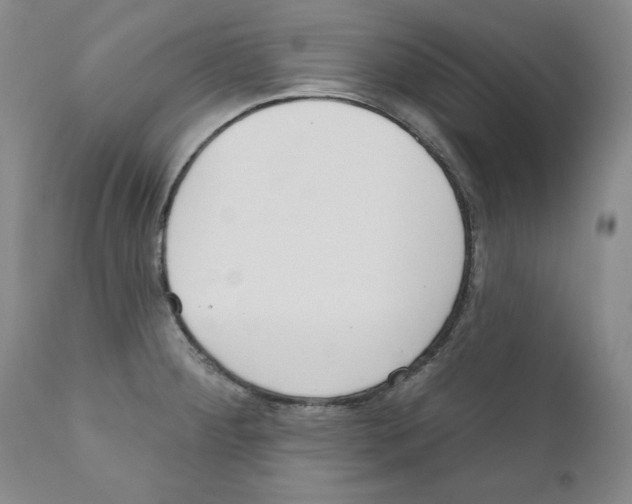 X0000111171284200908121038