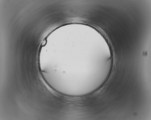 X0000111171285200908121038