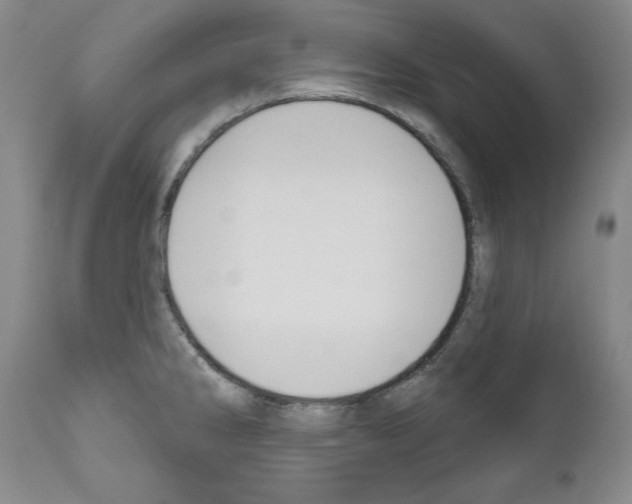 X0000111171286200908121038