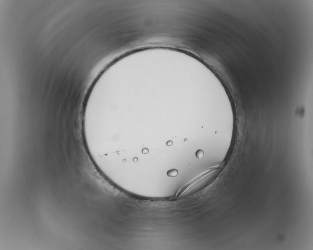 X0000111171288200908121038