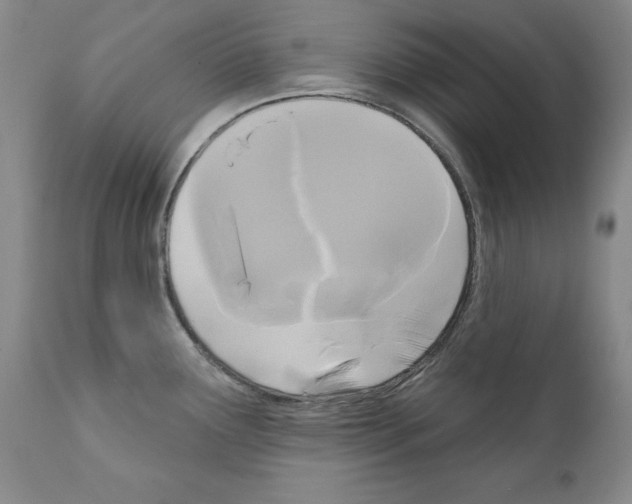 X0000111171291200908121038